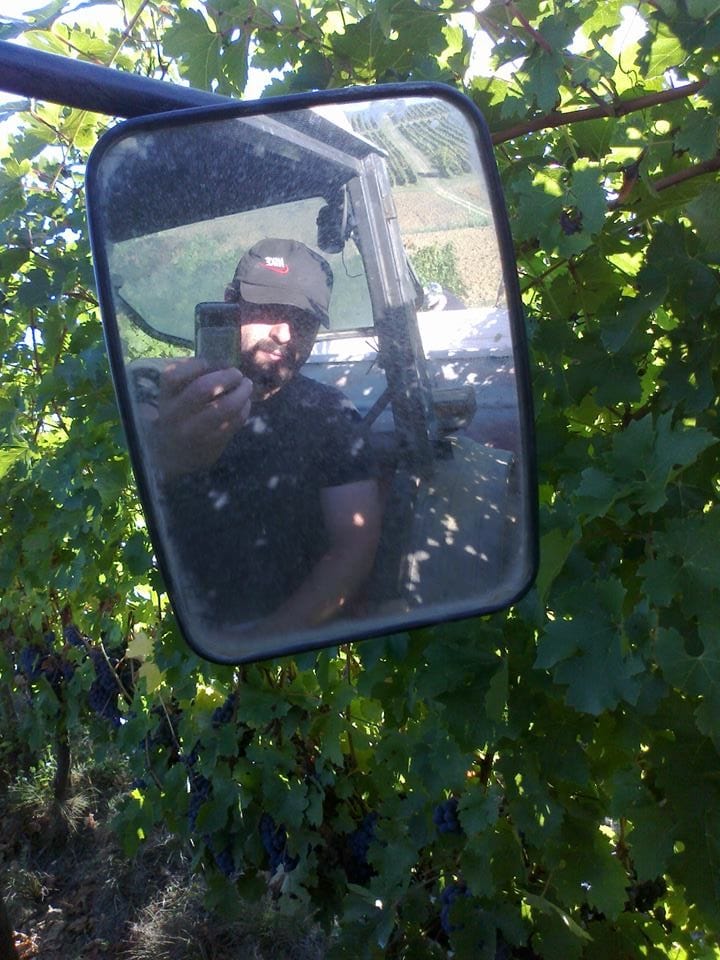 Vendemmia Vinci Gini Luca Fralupaia