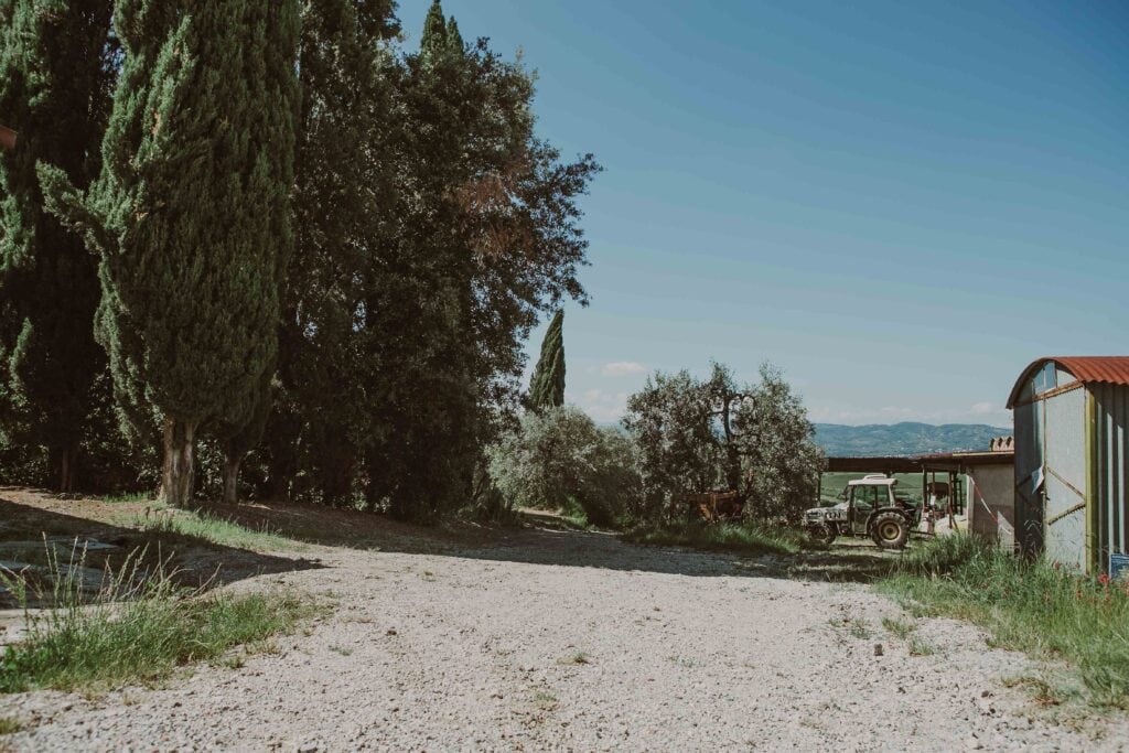 Piazzale azienda Agricola Fralupaia Toiano Vinci
