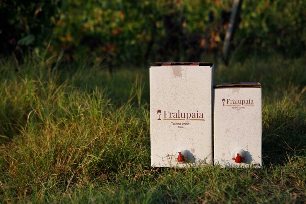 Bag in box 5 e 10 litri vinci