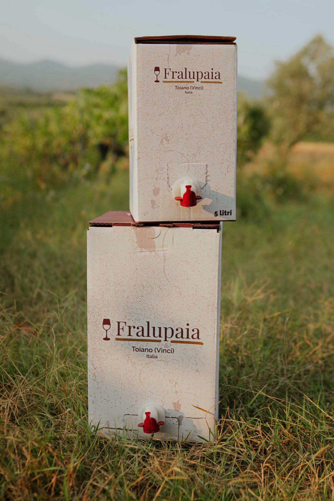 bag in box 5 e 10 litri azienda agricola Fralupaia Vinci Toiano