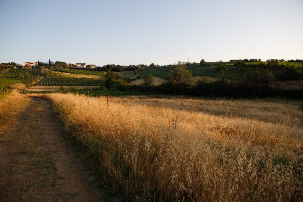 paesaggio del chianti a tarda sera