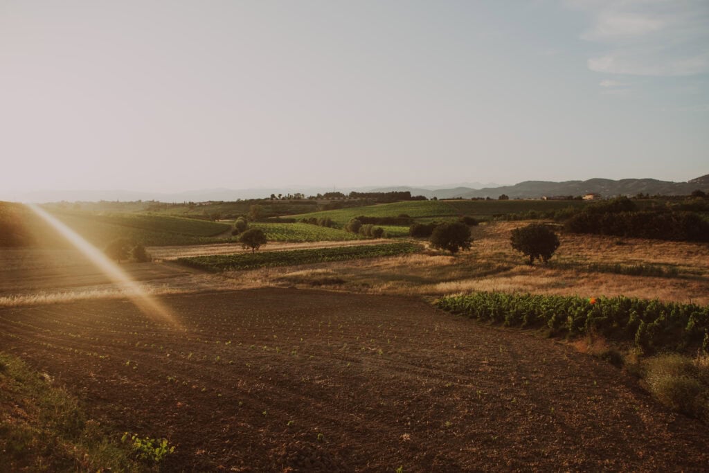 paesaggio a tarda sera del chianti