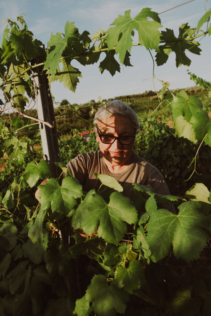Manuela esegue l'allacciatura