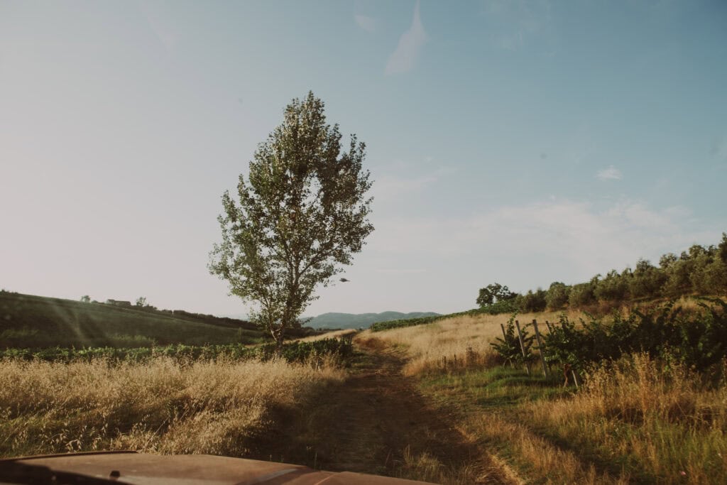 collane del chianti in macchina nei campi