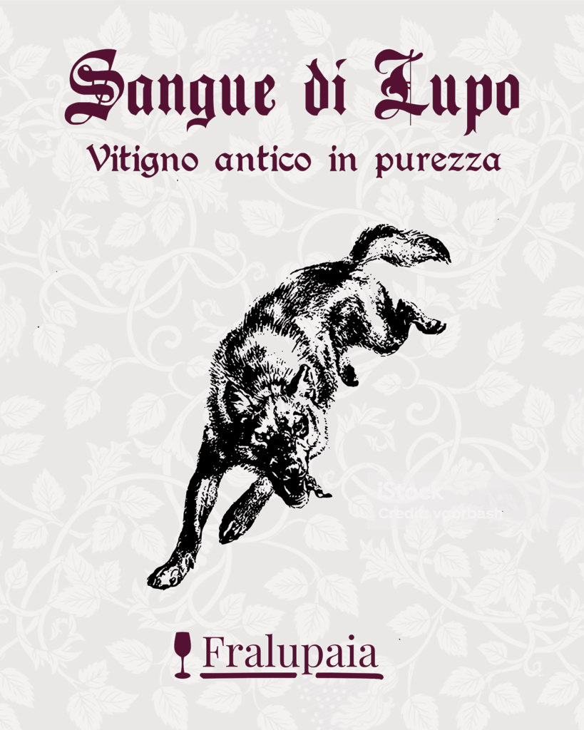 sangue di lupo, vitigno antico in purezza Fralupaia